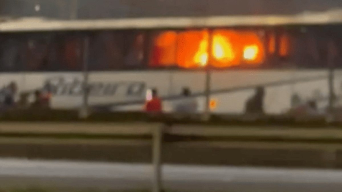 Polícia identifica membros de organizada do Palmeiras que atacaram cruzeirenses Polícia identifica membros de organizada do Palmeiras que atacaram cruzeirenses