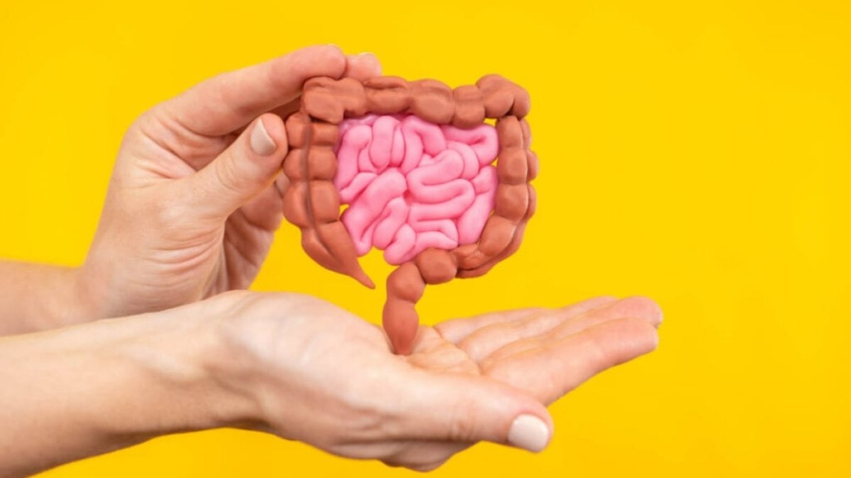 4 alterações nas fezes que podem indicar problemas de saúde 4 alterações nas fezes que podem indicar problemas de saúde