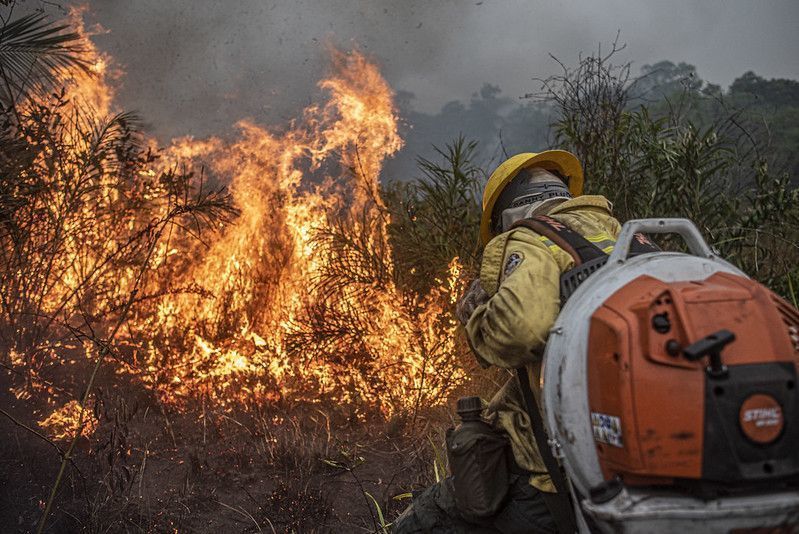 População afetada por incêndios sobe e alcança quase 19 milhões de pessoas População afetada por incêndios sobe e alcança quase 19 milhões de pessoas