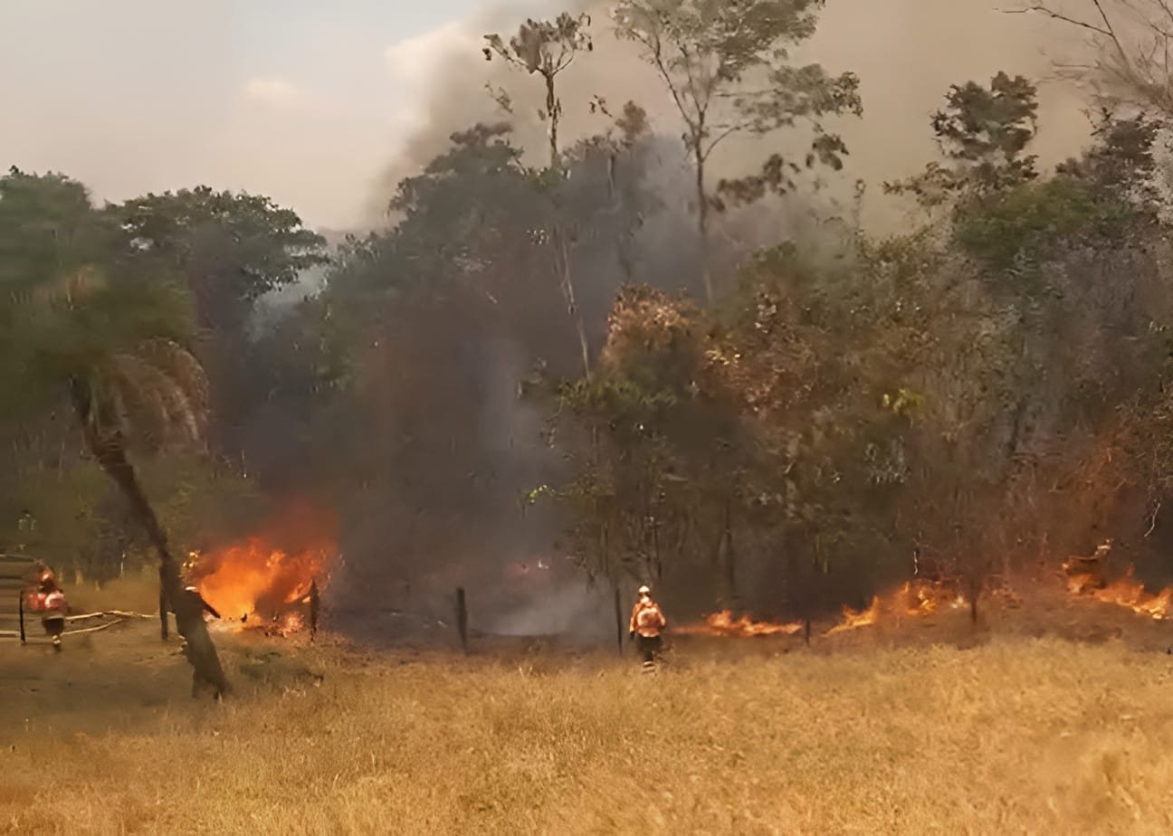 Incêndio já consumiu mais de 4 mil hectares da Serra Dourada Incêndio já consumiu mais de 4 mil hectares da Serra Dourada