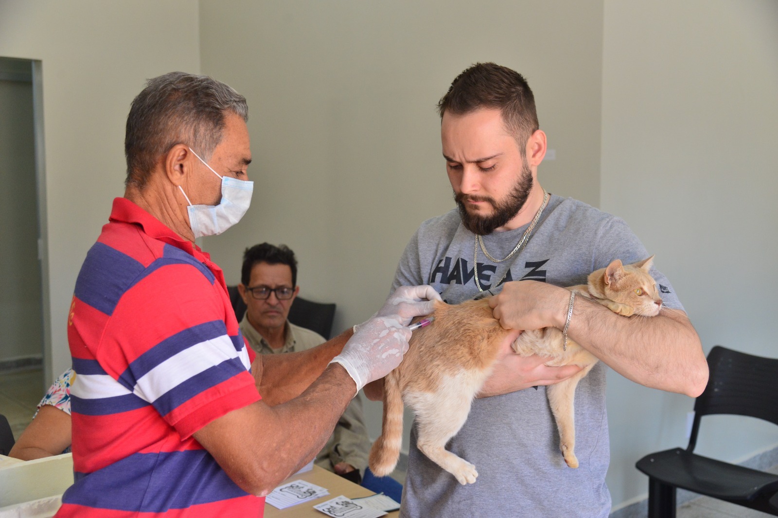 Prefeitura de Aparecida oferta vacinação antirrábica até o mês de novembro