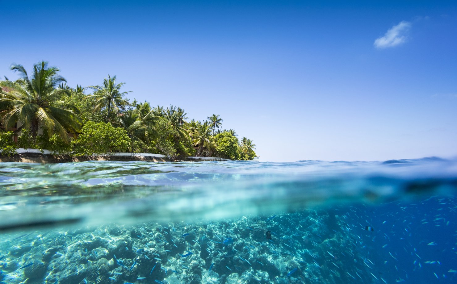 Mudanças climáticas podem custar US$ 1,1 bilhão para os sistemas de saúde globais, revela estudo Mudanças climáticas podem custar US$ 1,1 bilhão para os sistemas de saúde globais, revela estudo