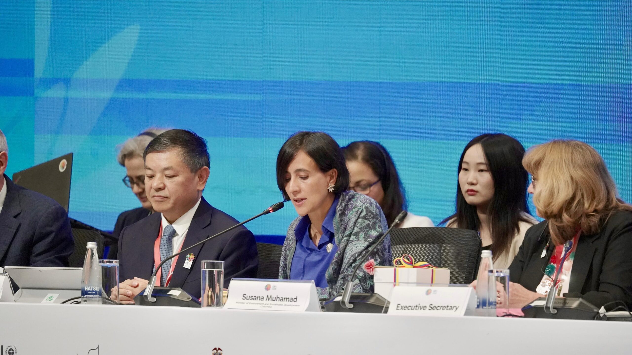 COP29 começa em Baku, no Azerbaijão: o que está em jogo? COP29 começa em Baku, no Azerbaijão: o que está em jogo?