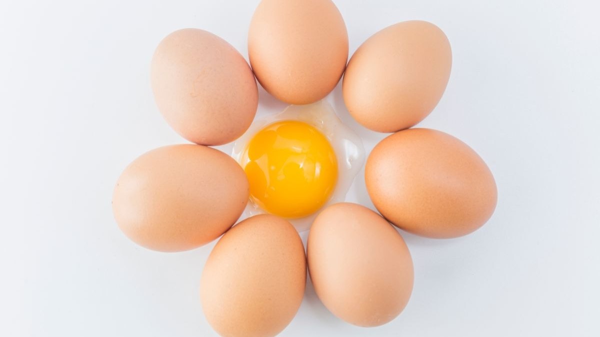 Pode comer ovo quando faz tatuagem? Pode comer ovo quando faz tatuagem?