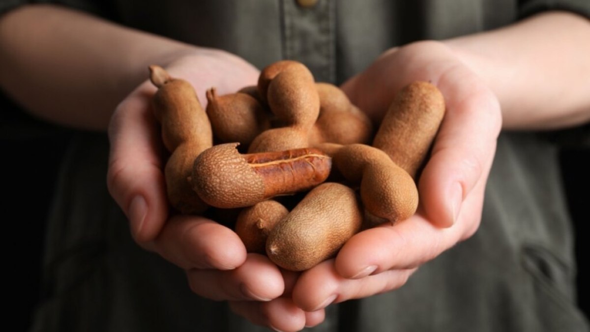 5 benefícios do tamarindo para a saúde e como usá-lo 5 benefícios do tamarindo para a saúde e como usá-lo