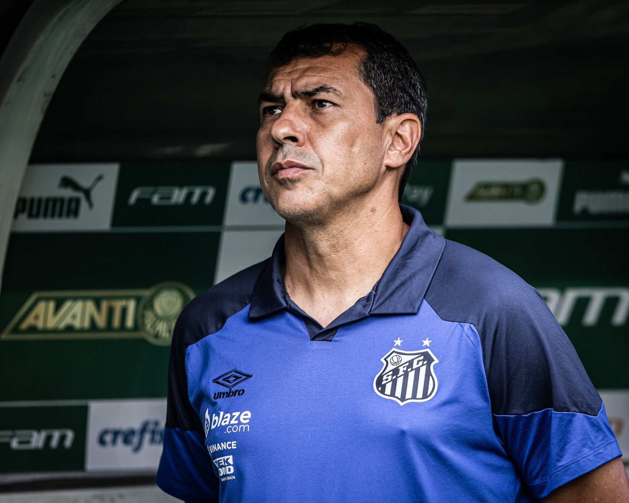 Fábio Carille garante premiação milionária com título do Santos na Série B Fábio Carille garante premiação milionária com título do Santos na Série B
