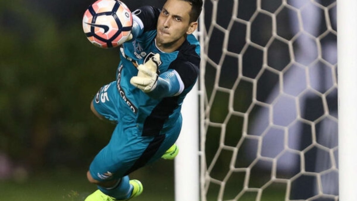 Pai de Gatito, do Botafogo, deixa futuro do goleiro em aberto: ‘Tem mercado no Brasil’ Pai de Gatito, do Botafogo, deixa futuro do goleiro em aberto: ‘Tem mercado no Brasil’