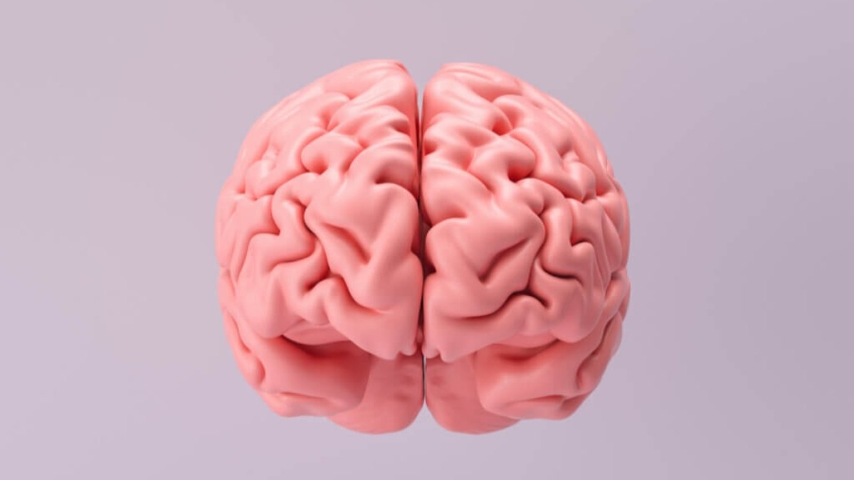 Cérebro fica mais velho com noites de sono mal dormidas, indica estudo Cérebro fica mais velho com noites de sono mal dormidas, indica estudo